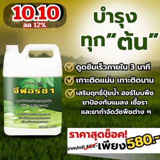 สูตรใหม่ ผสมซิลิคอน จีฟอร์ซวัน ขนาด 4 ลิตร สารนำพา สารจับใบเร่งการดูดซึม นำเข้าจากเยอรมันนี สูตรไม่มีแอลกอฮอล์