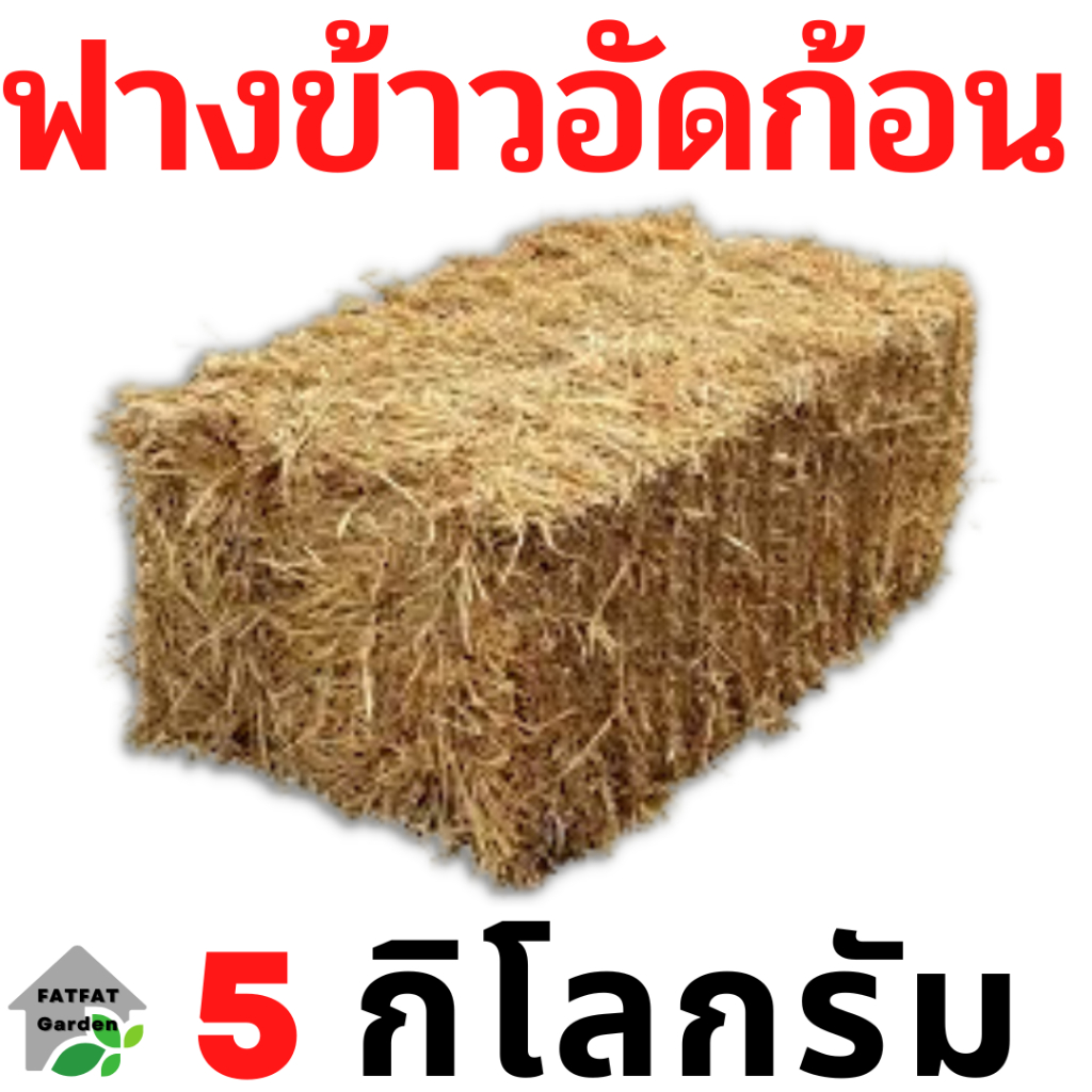 ฟาง-ฟางข้าว-ฟางข้าวอัดก้อน-5-กิโลกรัม-45-บาท-ส่งจากนครปฐม-ราคาหน้าสวน-สวนมาเอง-ไม่ชื้น-ไม่เก่า-ไม่ราขึ้น