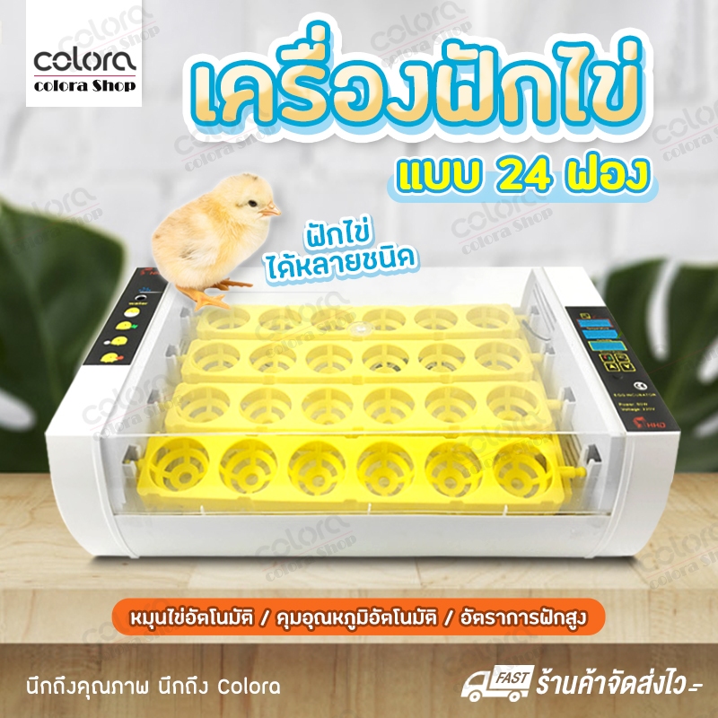 เครื่องฟักไข่-ตู้ฟักไข่-ตู้อบไข่-cd10-เครื่องฟักไข่อัตโนมัติ-ตู้ฟักไข่ไก่-ฟักไข่ไก่-ไข่เป็ด-ไข่นก-24-ฟอง