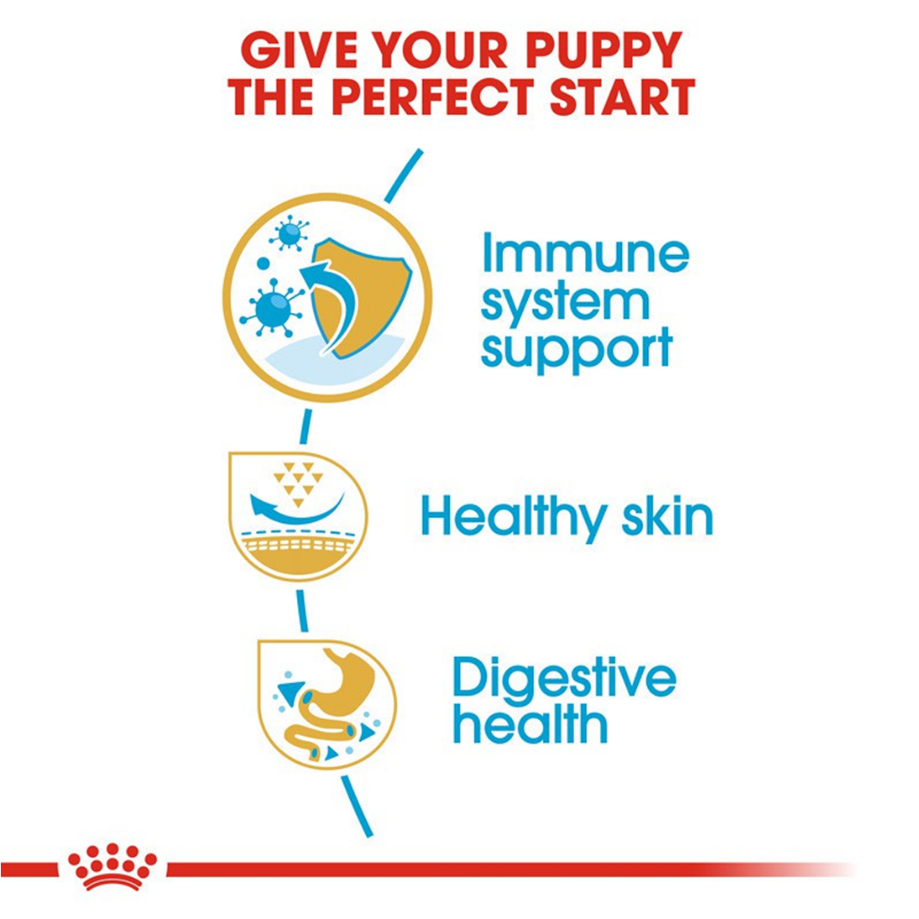 royal-canin-pug-puppy-โรยัล-คานิน-อาหารลูกสุนัข-พันธุ์ปั๊ก-อายุต่ำกว่า-10-เดือน-500-กรัม