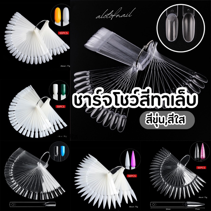 ชาร์ตสีโชว์เล็บแบบห่วงพัด-50-ชิ้น-ชาร์ตสีทาเล็บ-ตัวอย่างสี