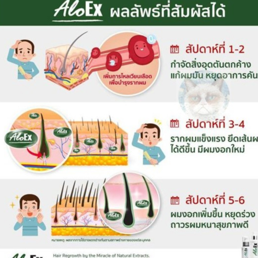 aloex-เซรั่มบำรุงรากผม-หยุดผมร่วง-ลดผมบาง-50ml-exp02-25