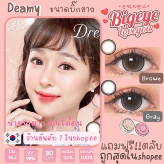 คอนแทคเลนส์ Dreamy Brown/Gray (Kitty Kawaii) ขนาดบิ๊กอาย 💖 ขายดีมาก🥇