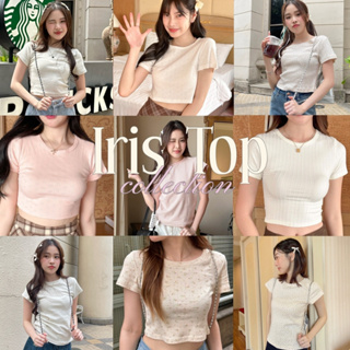 Choosedress A1877 Iris Top Collection เสื้อยืด เสื้อมินิ A1879 A1905