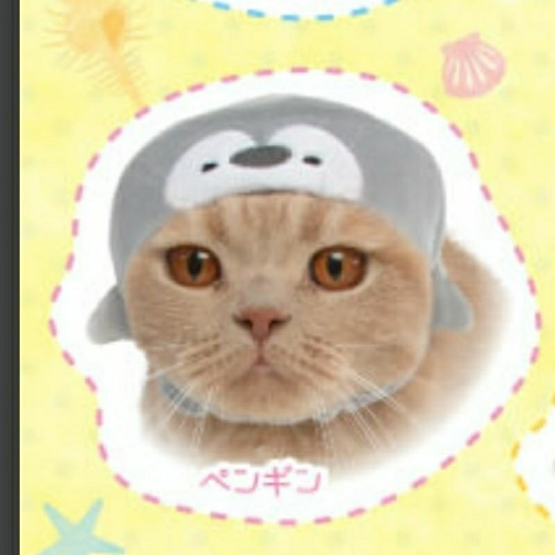 กาชาปอง หมวกแมว gachapon cat hat v.3 Shopee Thailand