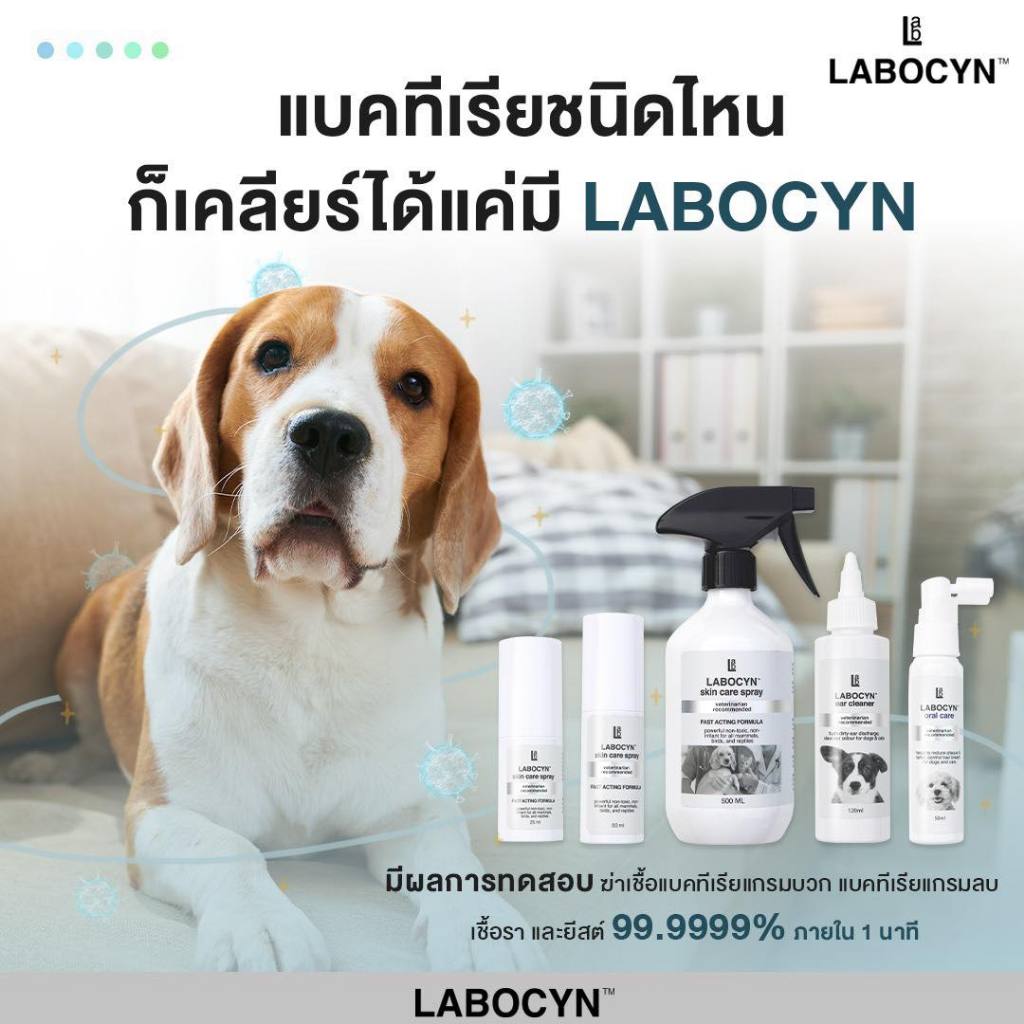 [ส่งไว] Labocyn Skin Care Spray สเปรย์ดูแลผิวหนังสุนัข แมว ผิวหนัง แผล ...