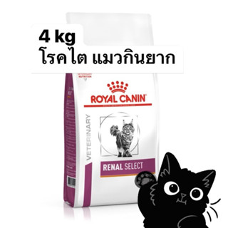 Royal canin hot sale renal cat 4kg