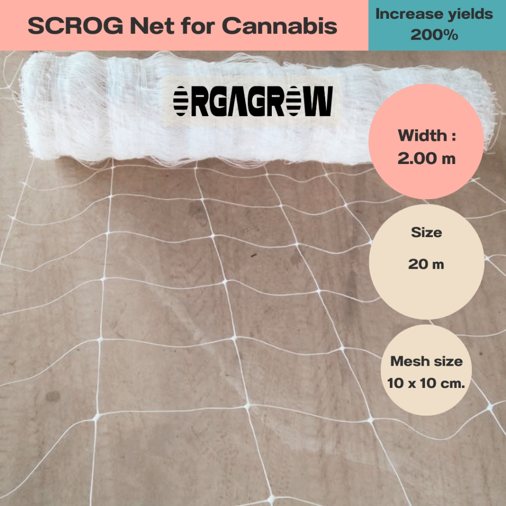 Scrog Net ตาข่ายปลูกต้นไม้ ตาข่ายกันล้มกัญ หน้ากว้าง 2.00m (แบ่งขาย) ตา ...