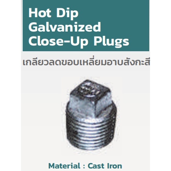HOT DIP GALVANIZED CLOSE-UP PLUGS เกลียวลดขอบเหลี่ยมอาบสังกะสี (หัวนูน ...
