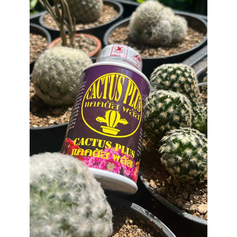 Cactus Plus แคตตัสพลัส สูตรเพิ่มความแข็งแรงของผิวต้น | Shopee Thailand