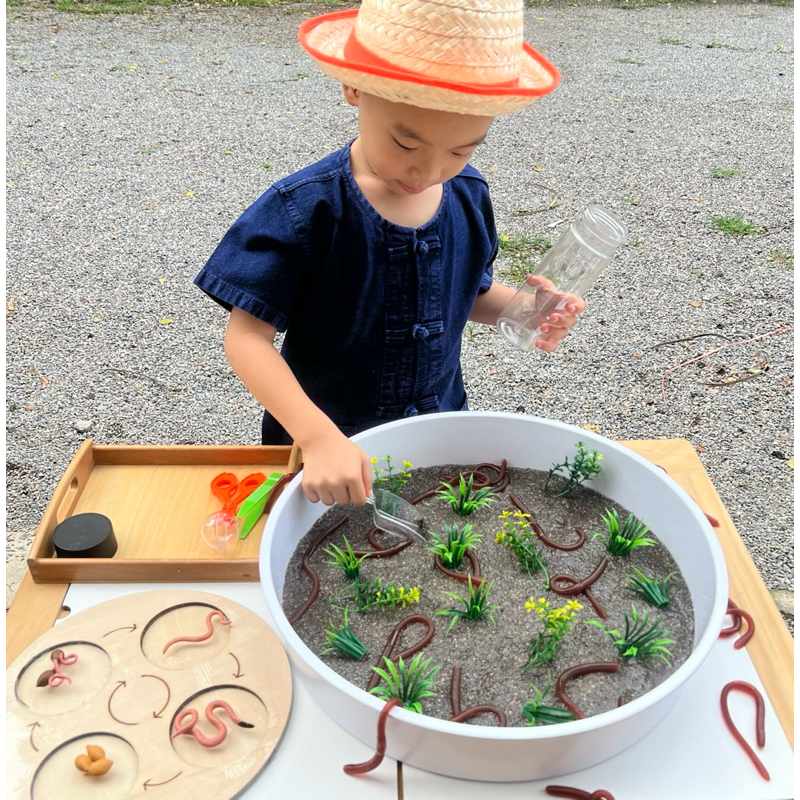 Dirt & Digging Earthworm Sensory Play วงจรชีวิตไส้เดือน วงจรชีวิตสัตว์ ...