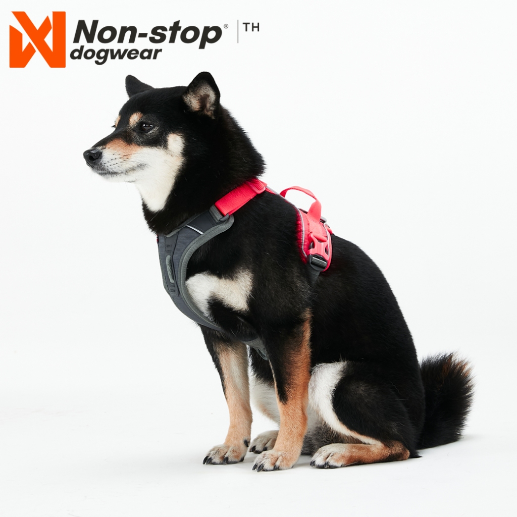 Non-stop Dogwear Ramble Geschirr - Alltagsgeschirr Mit 3 Leinenpunkten