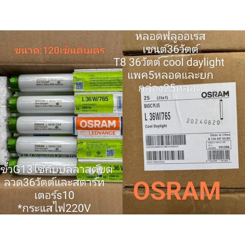osram-basic-plus-tl-d-36w-765-daylight