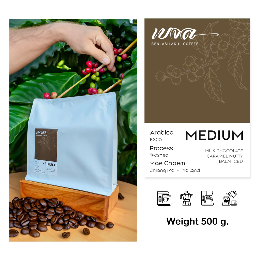 เมล็ดกาแฟคั่ว-อาราบิก้า-100-single-origin-ขนาด-500-กรัม-คั่วอ่อน-คั่วกลาง-คั่วเข้ม-เมล็ดกาแฟจากแม่แจ่ม-เชียงใหม่