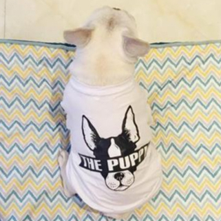 พร้อมส่ง-เสื้อน้องหมา-แบบมีแขน-สกรีนลาย-the-puppy-เนื้อผ้าคอตตอน-100-ใส่สบาย