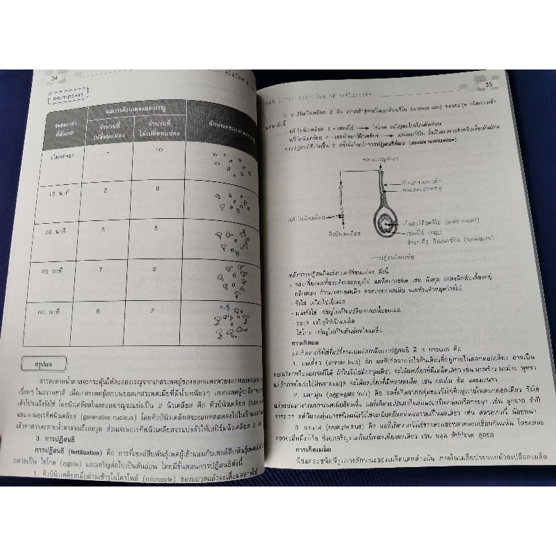 คู่มือเตรียมสอบ-วิทยาศาสตร์-ม-1-พีบีซี