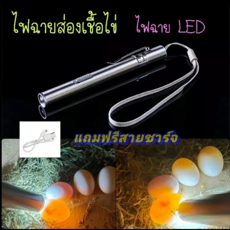 พร้อมส่งในไทย-ไฟฉายส่องเชื้อไข่-ไฟฉายส่องไข่-น้ำหนักเบา