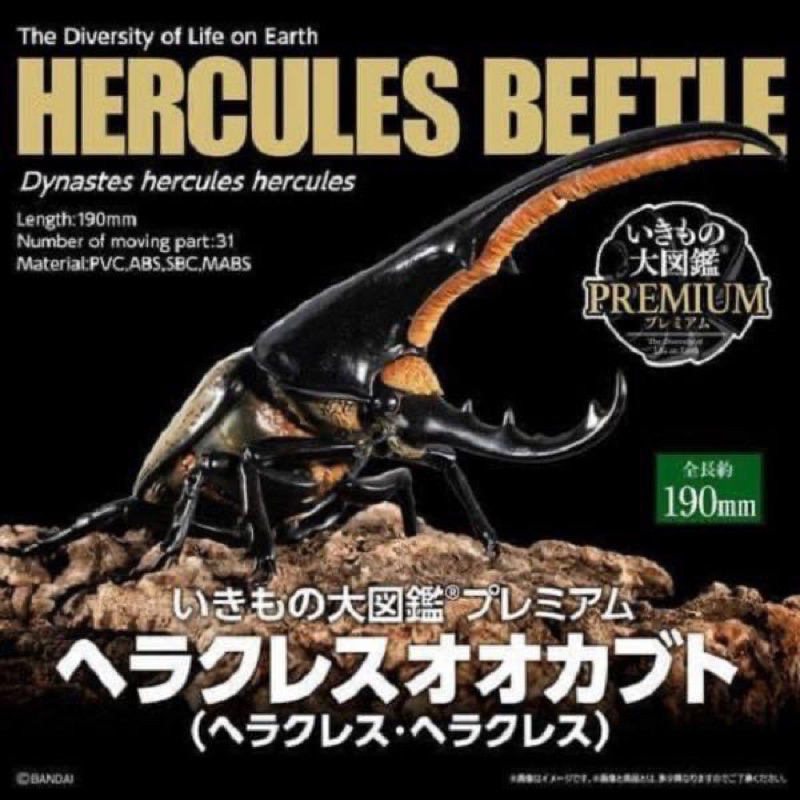 ikimono-daizukan-premium-hercules-beetle-ด้วงกว่าง-จุดขยับ