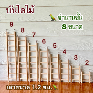 บันไดนก บันไดไม้ ขนาดเสา 1.2 ซม.ลายขั้นเรียบ จำนวนขั้นไต่ 2/3/4/5/6/7/8/9 ผลิตจากไม้ธรรมชาติ ปลอดภัยสำหรับสัตว์เลี้ยง