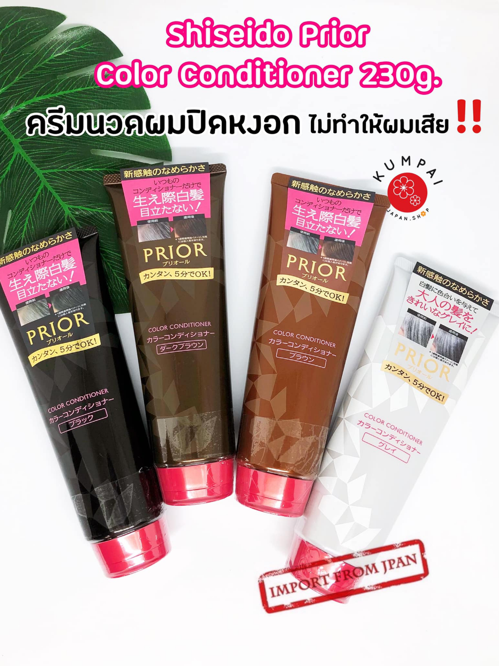 Shiseido Prior Color Conditioner ครีมนวดเปลี่ยนสีผมและปิดผมหงอก ของแท้ ...