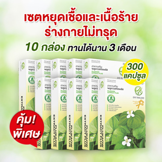 โปรโมชันพิเศษสุดคุ้ม 10 กล่อง ผลิตภัณฑ์เสริมอาหาร EV9 พลูคาวสกัดพลัส  EV9​ Plukaow Extract Plus ผลิตภัณฑ์สมุนไพรคุณภาพ