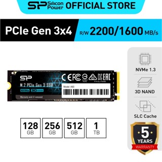 ภาพหน้าปกสินค้าSilicon Power P34A60 NVMe PCIe Gen3x4 M.2 2280 SSD, Read 2,200MB/s Write 1,600MB/s สำหรับ Laptop และ PC ที่เกี่ยวข้อง