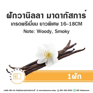 ฝักวานิลลา มาดาร์กัสการ์ ( Madagascar Vanilla Bean ) 1 ฝัก Vanilla Pod