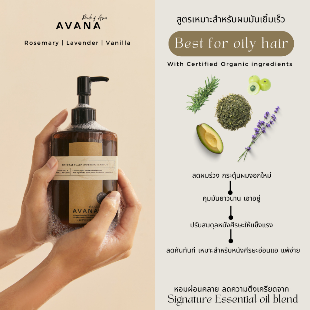 avana-shampoo-แชมพูคุมความมัน-ลดผมร่วง-ปรับสมดุลหนังศีรษะอย่างอ่อนโยน-ผ่อนคลาย-บอกลา-มัน-คัน-ร่วง