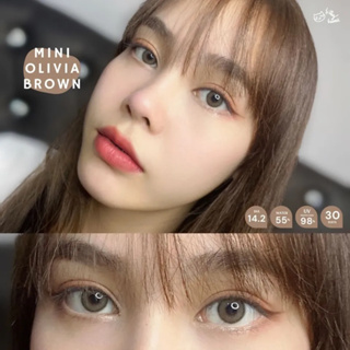 mini olivia brown mini olivia gray mini olivia light brown คอนแทคเลนส์สุดฮิตพร้อมส่ง ราคาถูกที่สุด