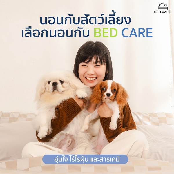 bed-care-เซตครบครัน-รุ่น-ผ้าออริจินัล-ผ้าปู-ปลอกหมอนหนุน-ปลอกหมอนข้าง