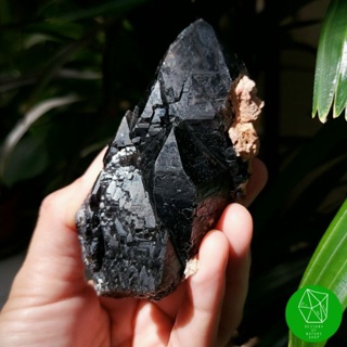 ผลึกควอตซ์​ดำทรงธรรมชาติ (Natural Black Quartz Elestial Crystal Point)​