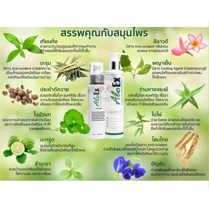 aloex-เซรั่มบำรุงรากผม-หยุดผมร่วง-ลดผมบาง-50ml-exp02-25