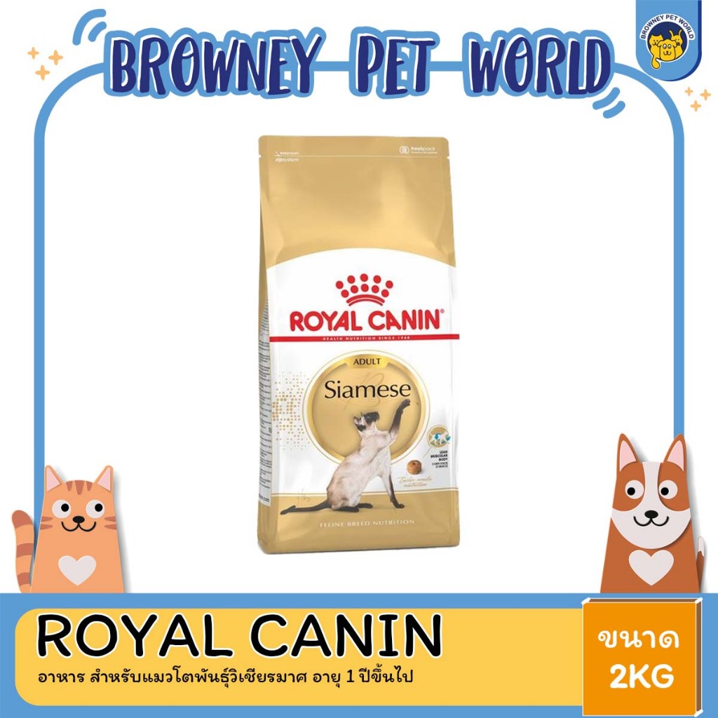 royal-canin-siamese-อาหาร-สำหรับแมวโตพันธุ์วิเชียรมาศ-อายุ-1-ปีขึ้นไป-2kg