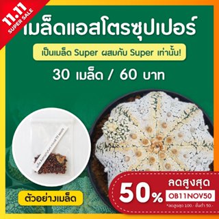 เมล็ดแคคตัส เมล็ดแอสโตร ซุปเปอร์ คาบูโตะ ชุดล่ะ 30+ เมล็ด (Astro Super)