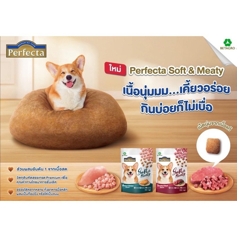 Perfecta Soft & Meaty Dog Food ️🐶 เพอร์เฟคต้า ซอฟท์ แอนด์ มีตตี้ อาหาร ...