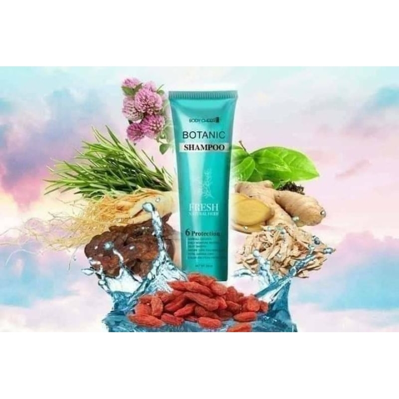 Botanic shampoo แชมพูสูตรเย็น | Shopee Thailand