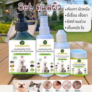 ราคาและรีวิวเซ็ตดูแลป้องกันเชื้อรา ขี้เรื้อน คันเกาผิวหนัง ไร ยีสต์สุนัขแมวขายดี No.1 แชมพู + สเปรย์ + น้ำยาเช็ดหู + บาล์ม ปลอดภัย