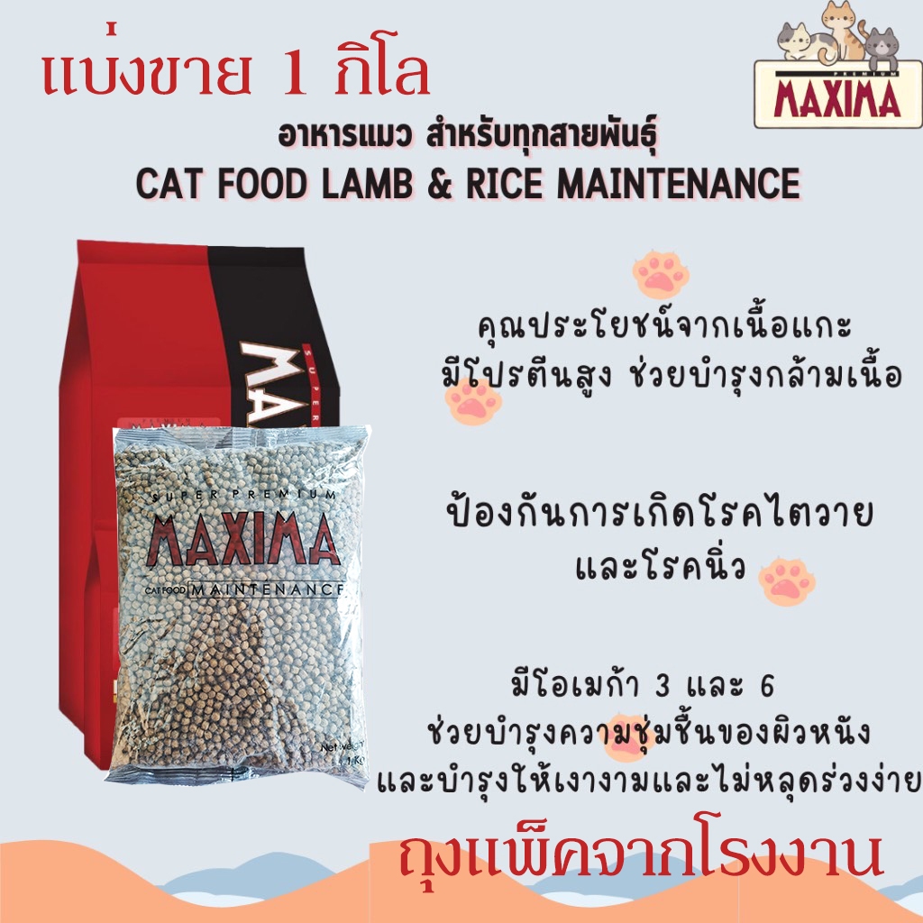 {ส่งฟรี} MAXIMA CAT MAINTENANCE 1 KG อาหารสำหรับแมว 1 กก. | Shopee Thailand