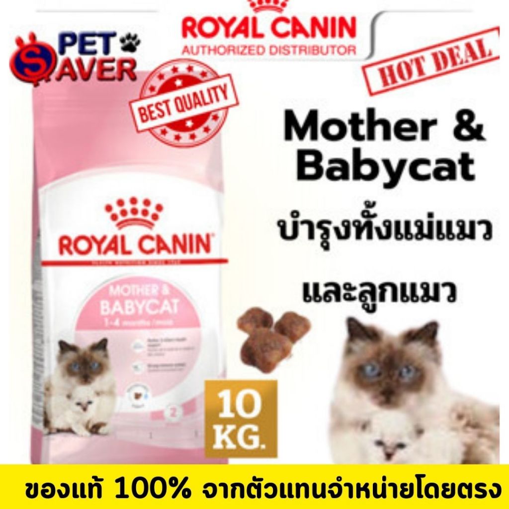 Royal canin mother hotsell & baby cat 10kg