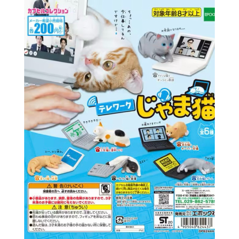 **พร้อมส่ง** กาชาปองน้องแมว telework cat ของแท้