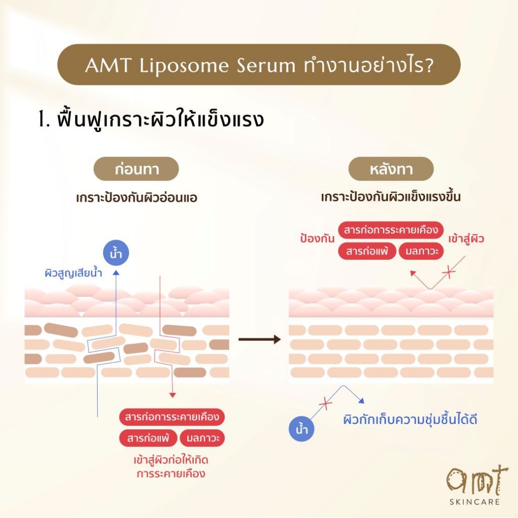 [แพ็คคู่] AMT Liposome Serum 30 mL - เซรั่มฟื้นฟูเกราะป้องกันผิว ผิว ...