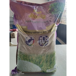 ข้าวหอมมะลิ 105 ทุ่งกุลาร้อยเอ็ด photo