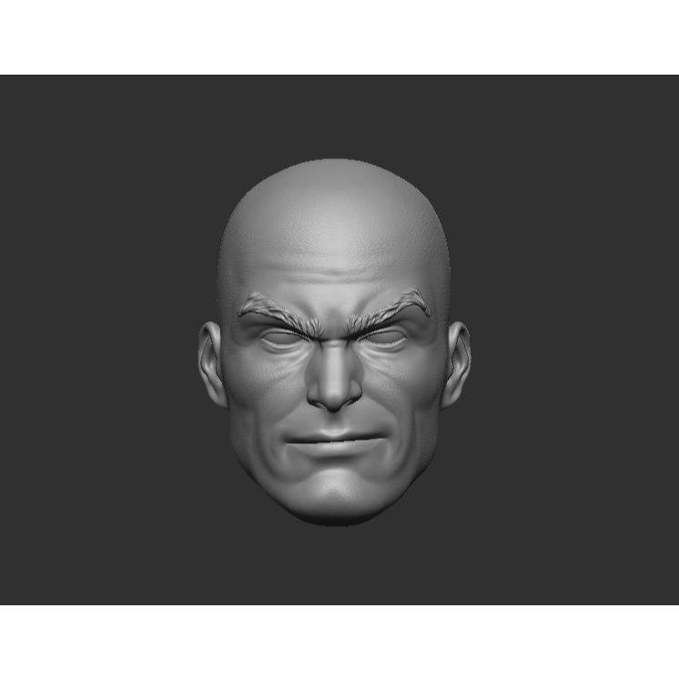 Lex Luthor - Headsculpt for Action Figures 3D print model | Shopee Thailand