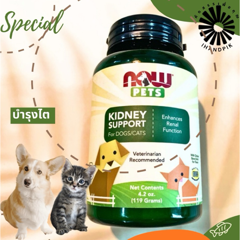 Picture of exp.01/25 Now foods Kidney Support for Dogs/Cats บำรุงไต สุนัข แมว, 4.2 ...