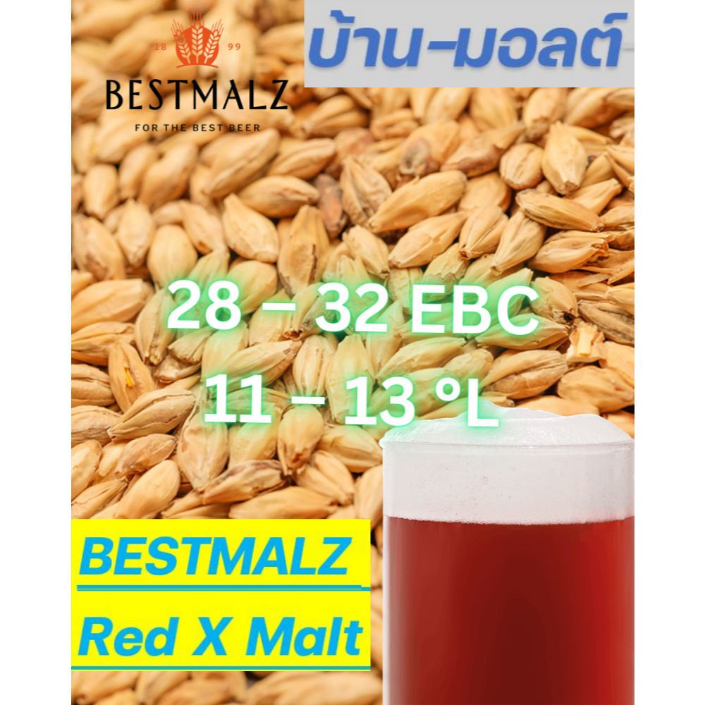 Malt Red X Best Malz