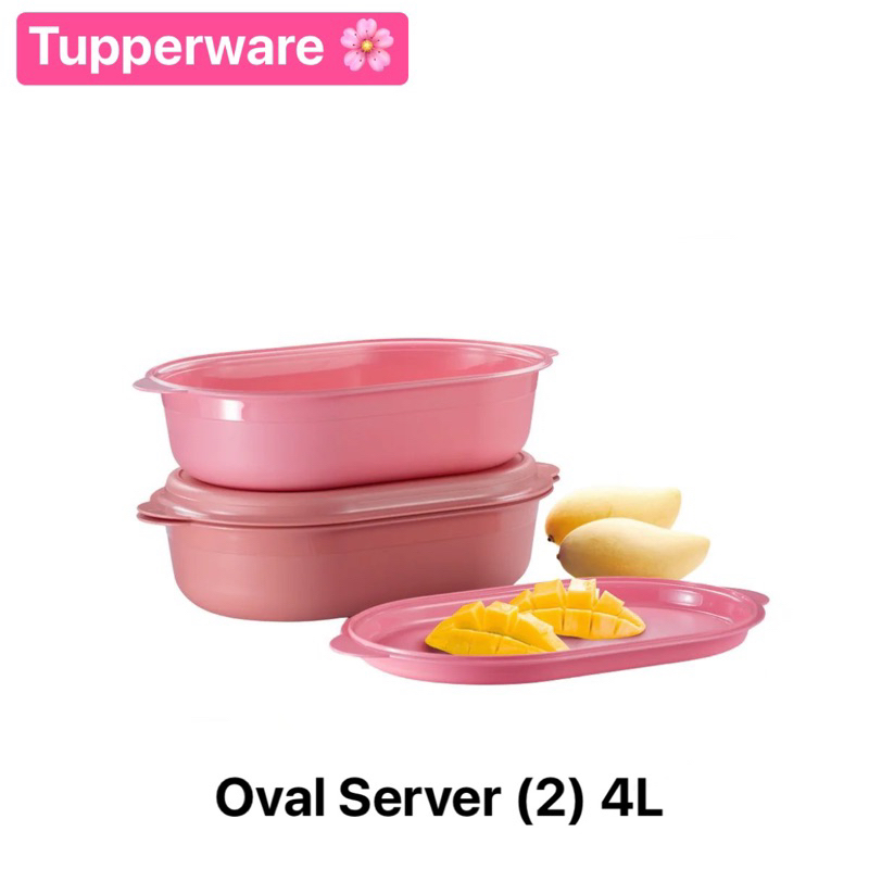 Tupperware รุ่น Oval Server (1) ขนาด 4L | Shopee Thailand