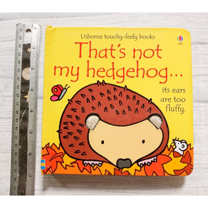 That's Not My Hedgehog