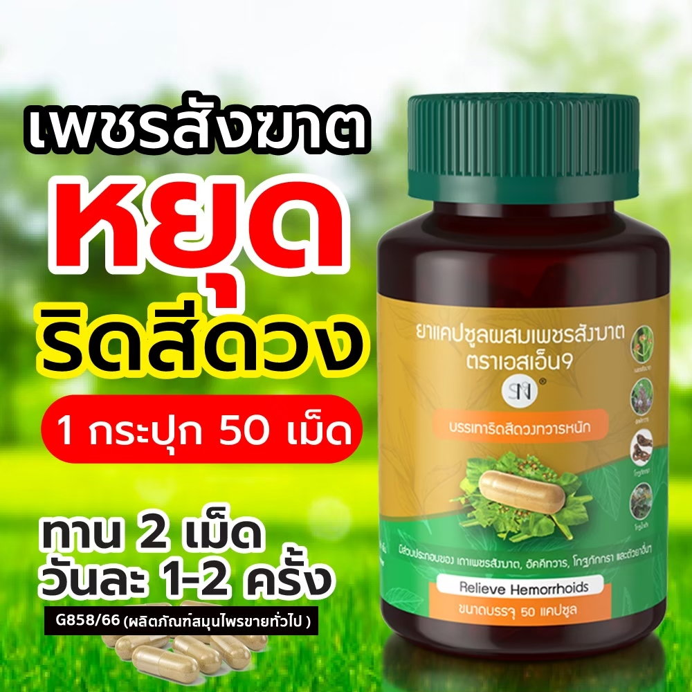 ( ของแท้100% ) SN9 เพชรสังฆาต ริดสีดวง สมุนไพรเพชรสังฆาต Hemorrhoids ...