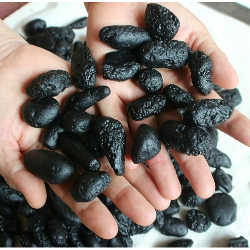 1Kg Rare Meteorite Black Tektite Specimen Wholesale Price from — free download