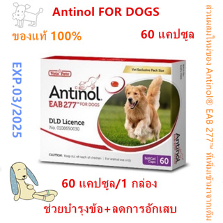 Antinol DOG 60 แคปซูล(หมดอายุ03/2025)แพ็คเกจใหม่ อาหารเสริมบำรุงข้อ ข้ออักเสบ 1 กล่องบรรจุ 60 เม็ด